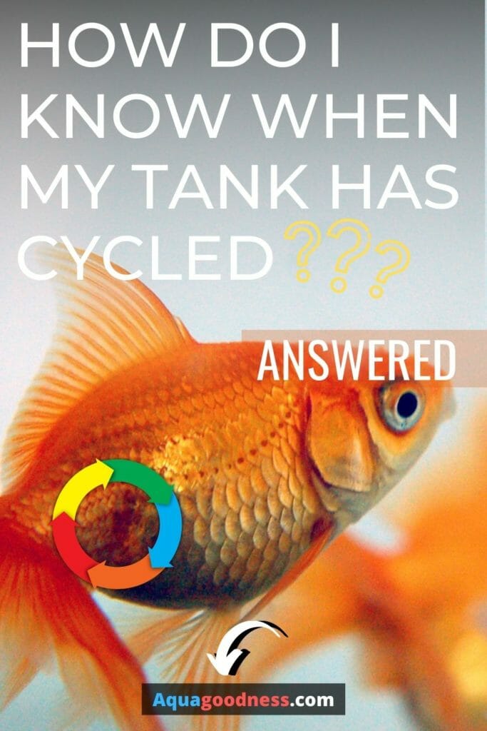 How Do I Know When My Tank Has Cycled? (Answered) image