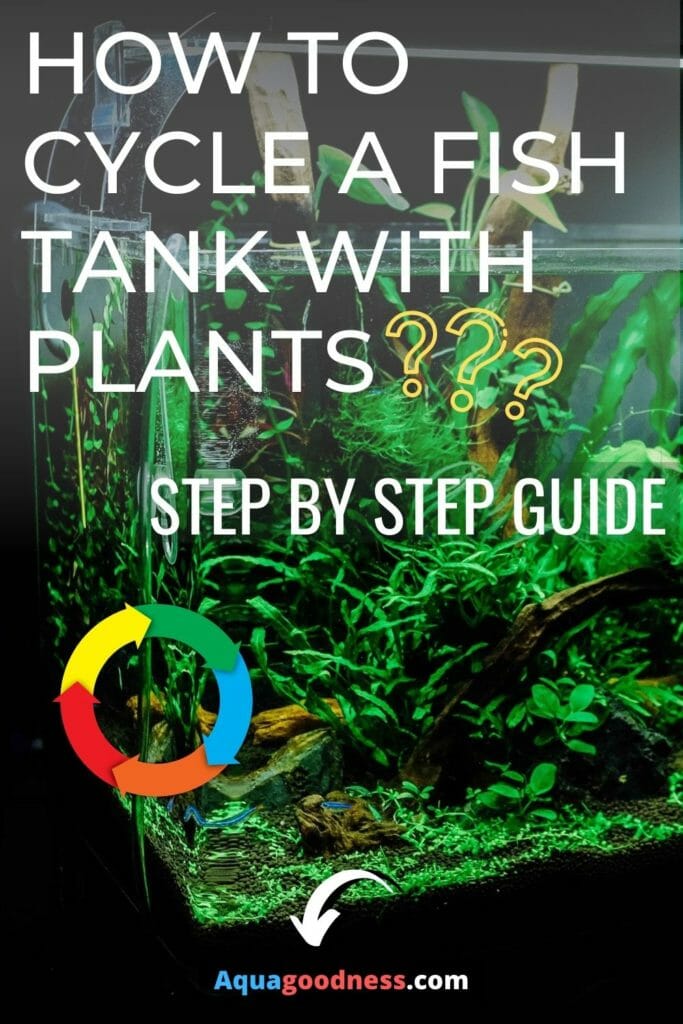 How to Cycle a Fish Tank With Plants? (Step by Step Guide) image